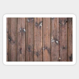 Wood texture of tree trunk, close-up, texture, background Sticker